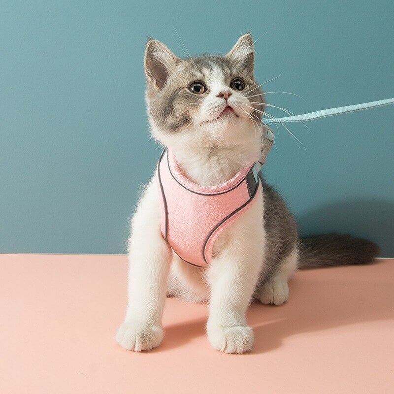 MeowStep™ | Kattenharnas