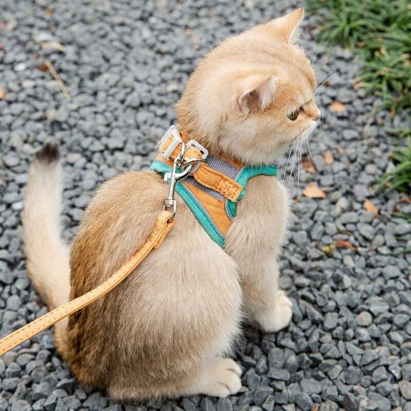 MeowStep™ | Kattenharnas