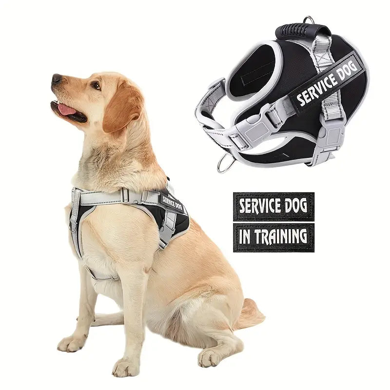 SecurePaws⢠| Riem-Harnas voor HulpHond