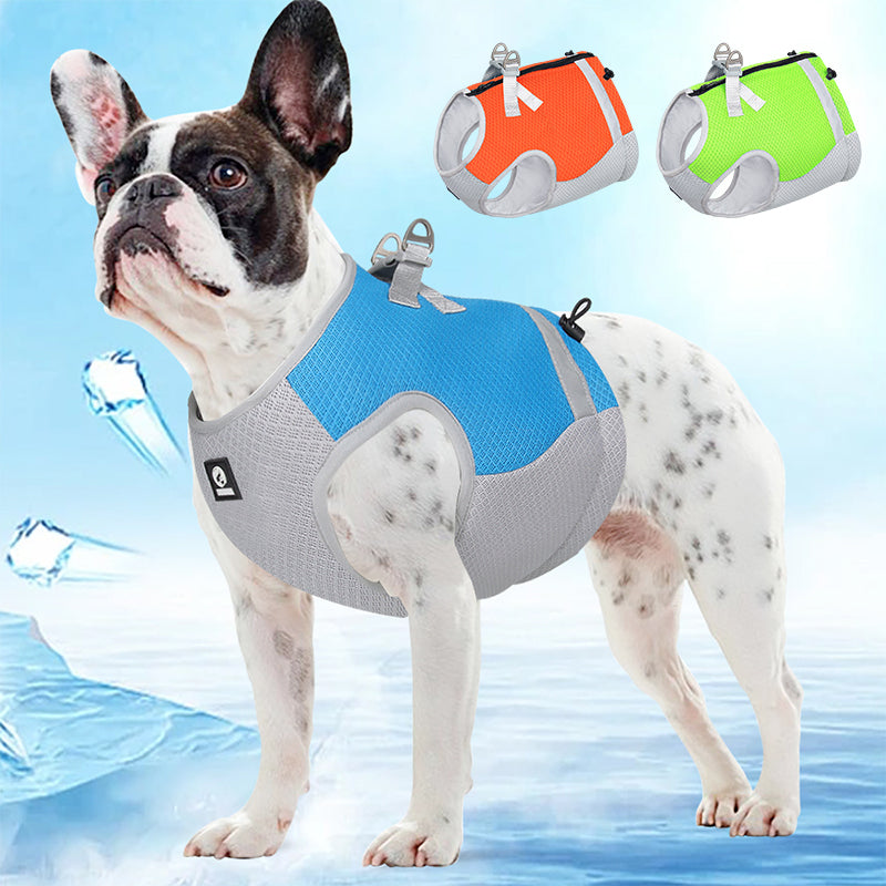 FrostFit™ | Nooit Meer Stress en Hitte