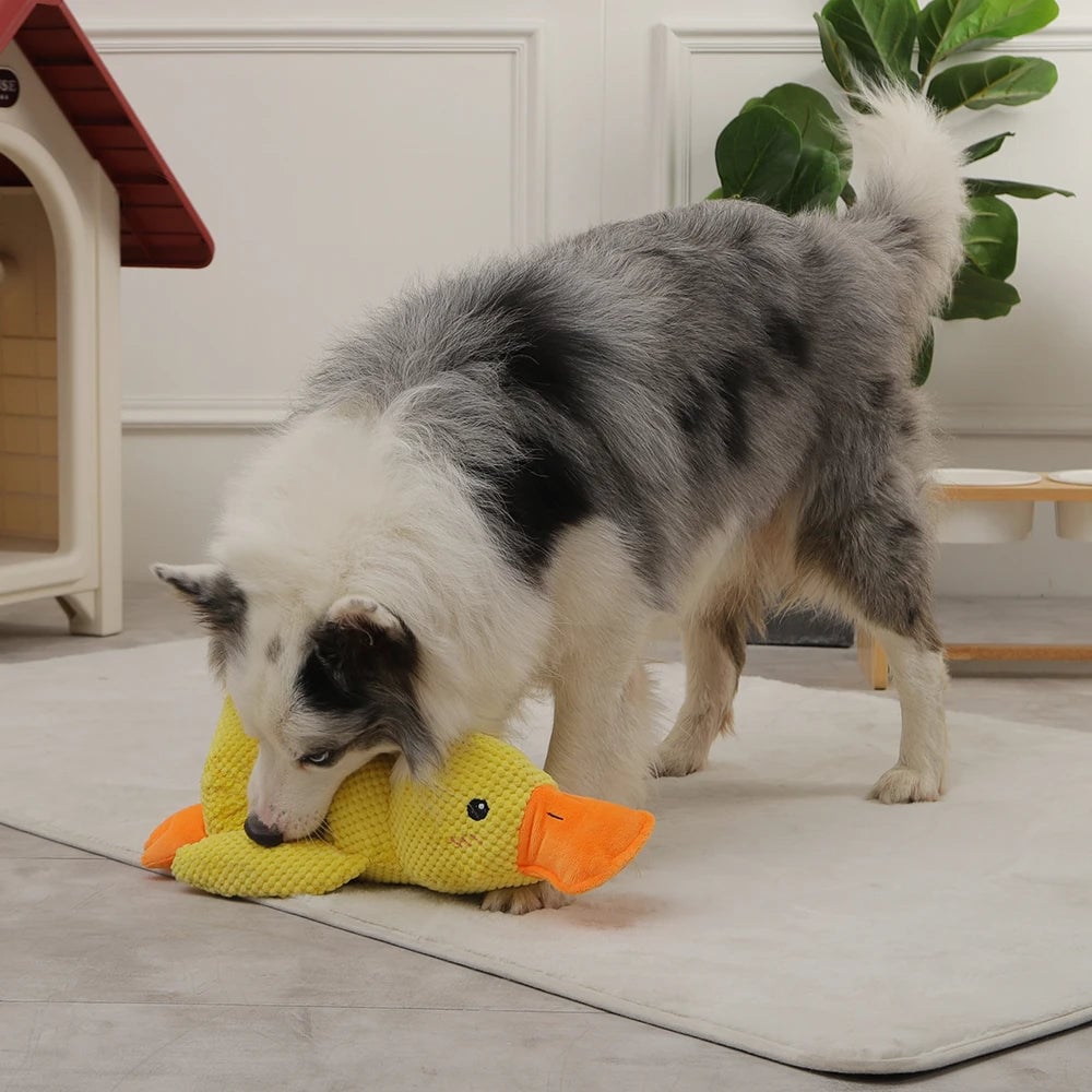 DuckyDazzle™ | Voorkom Verveling en Angst bij Alleen Thuis