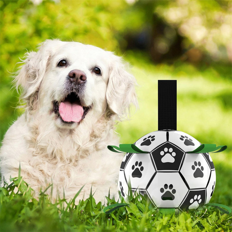 FlapFetch™ | Maakt Honden Blij en Actief