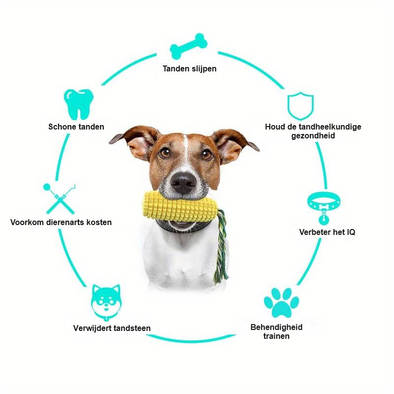 CornCraze™ | Maïsvormig kauwspeeltje voor honden