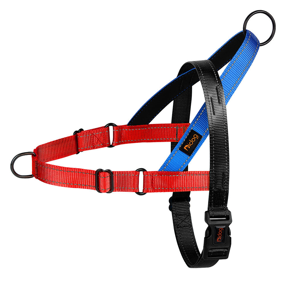 LumaPaw™ | Voor Stressvrije Wandelingen en Volledige Controle