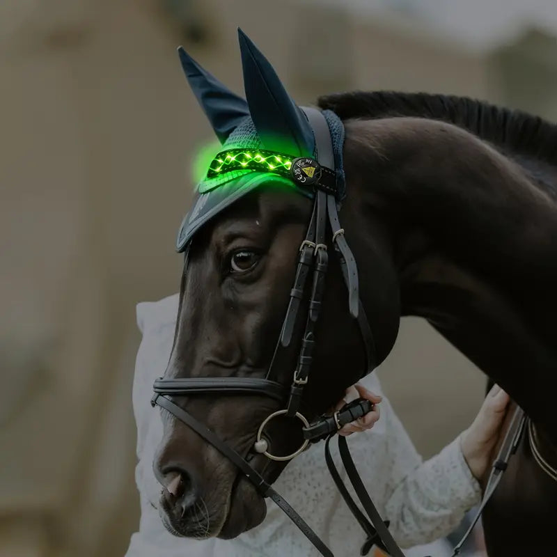 LumaRide™ | Veilige LED-verlichte hoofdriem voor paarden