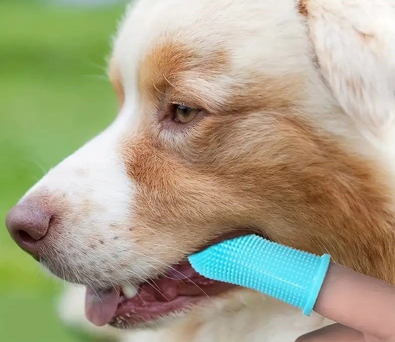 WoofWiper™ | Frisse Adem en Tandverzorging