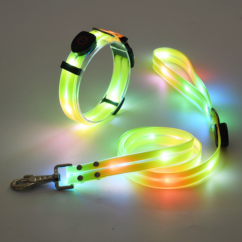 BrightPaw™ | Verlicht Elke Stap Samen
