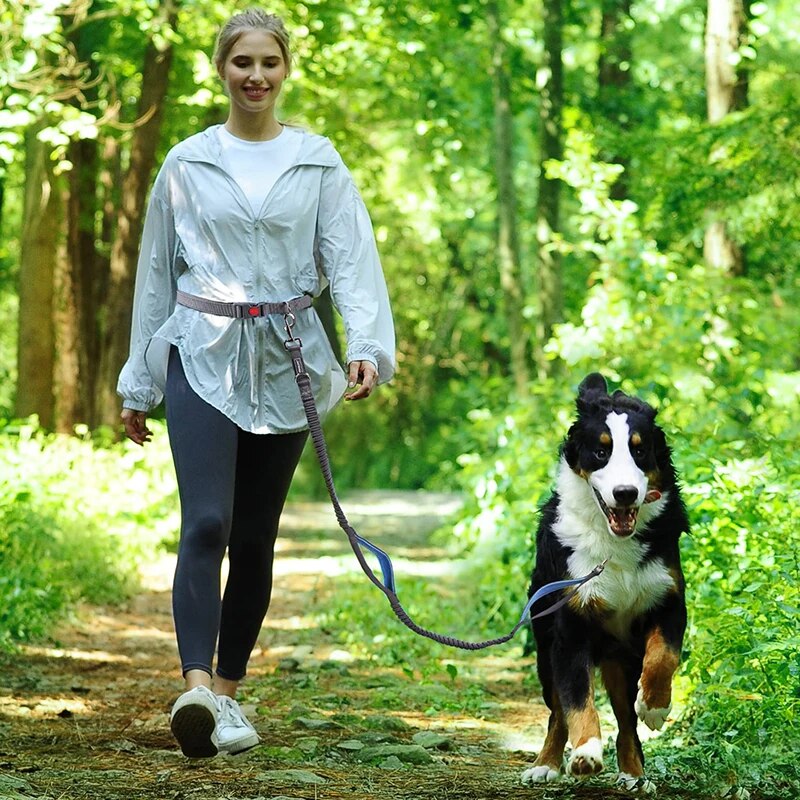 WalkWag™ | Geniet van moeiteloze wandelingen