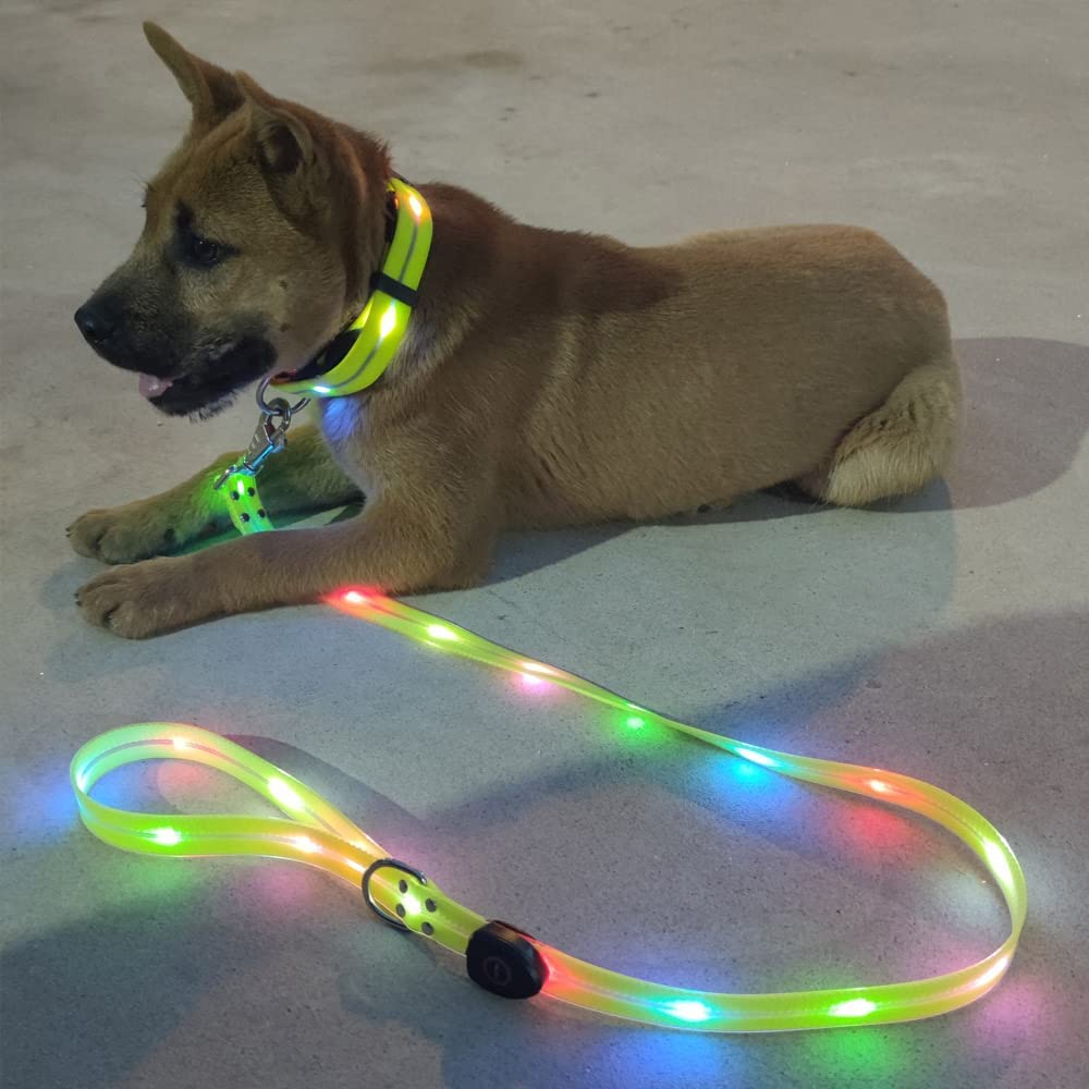 BrightPaw™ | Verlicht Elke Stap Samen