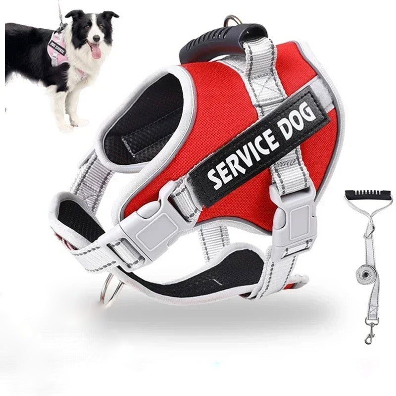 SecurePaws⢠| Riem-Harnas voor HulpHond