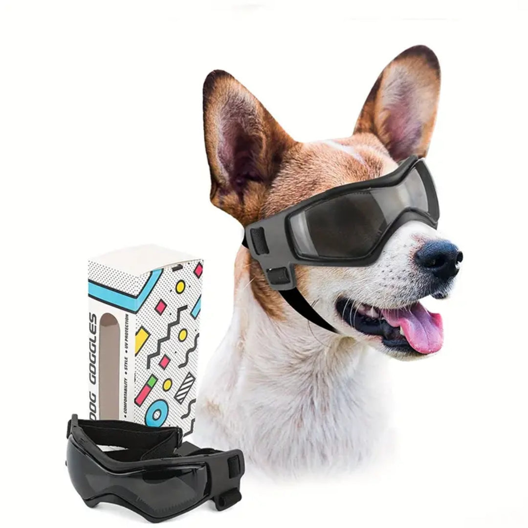 PupVisor™ | Trendy UV-Hondenbril