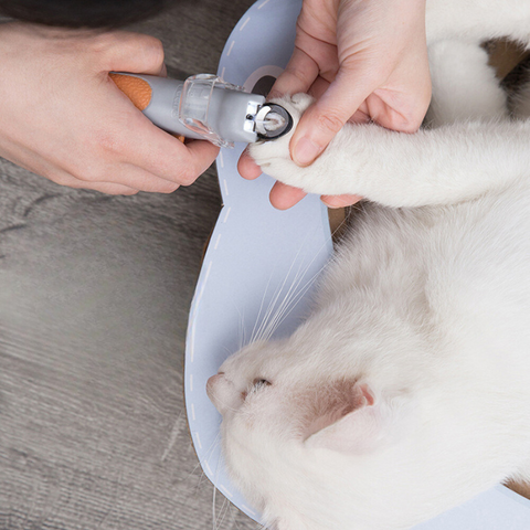 PawPros™ | 2 in 1 - LED Nagelknipper