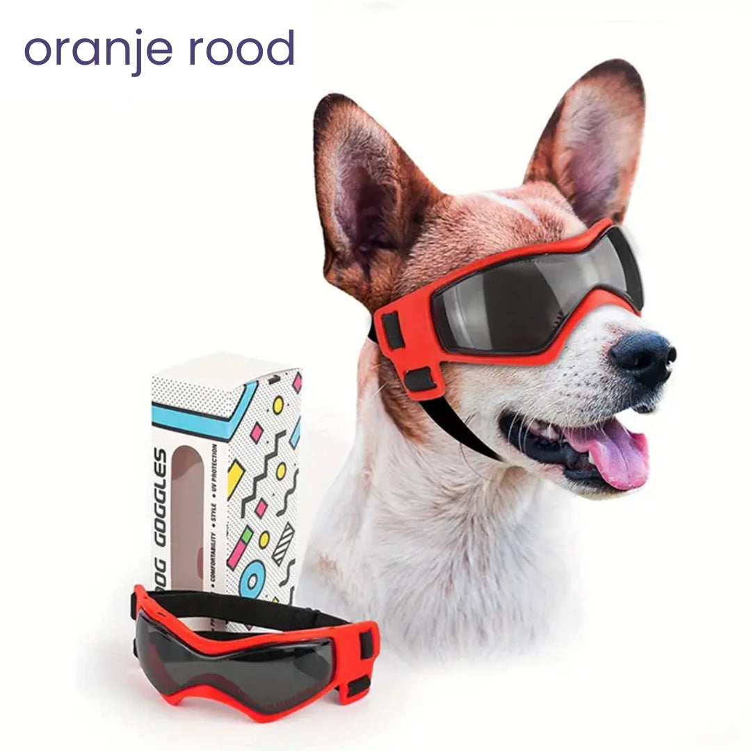 PupVisor™ | Trendy UV-Hondenbril