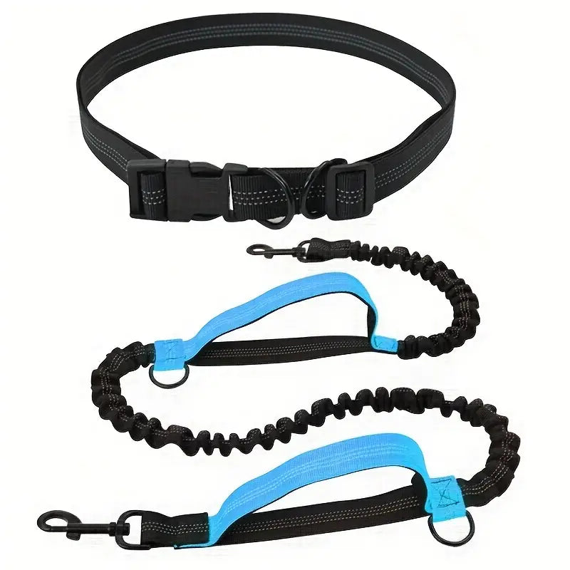 PawStrap™ | Hondenriem met veilige grip en schokdemping