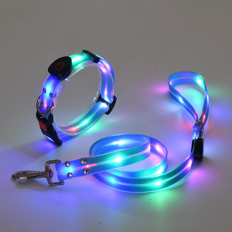 BrightPaw™ | Verlicht Elke Stap Samen