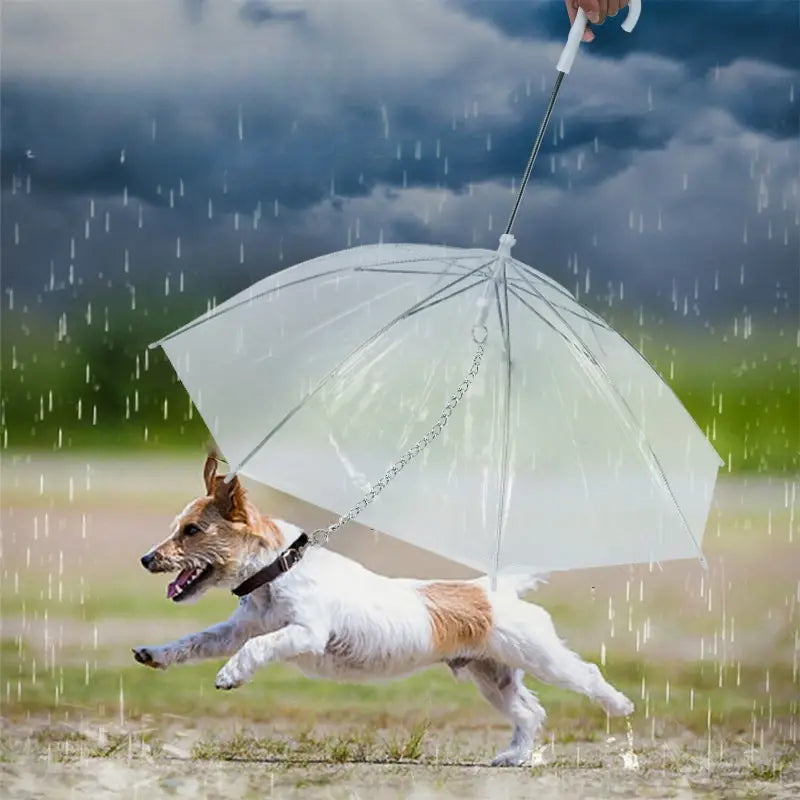 PawRain™ | Voorkom natte hond en behoud geurvrije vacht