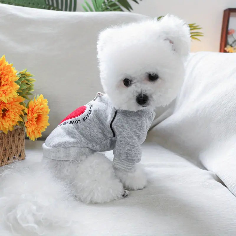 PawLuv™ | Warme gebreide trui tegen winterkou
