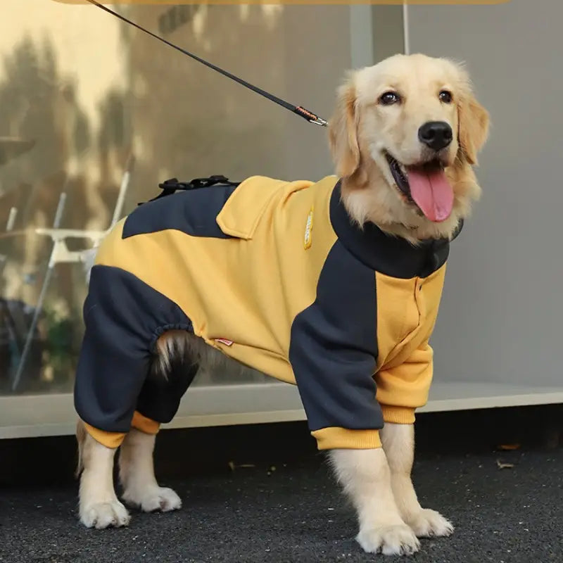 Barksy™ | Wintertrui voor honden tegen kou en sneeuw