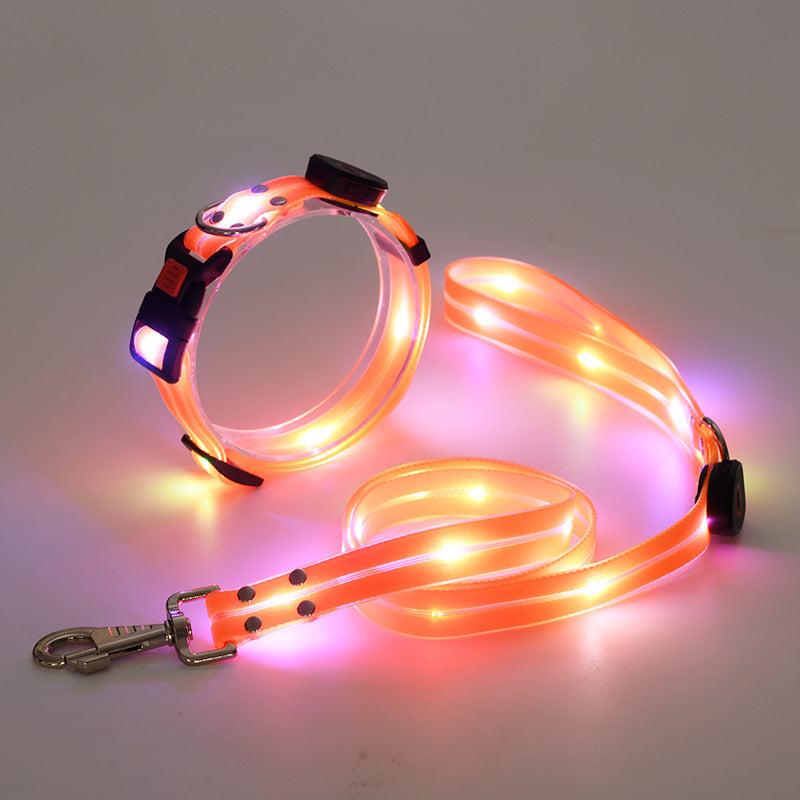 BrightPaw™ | Verlicht Elke Stap Samen