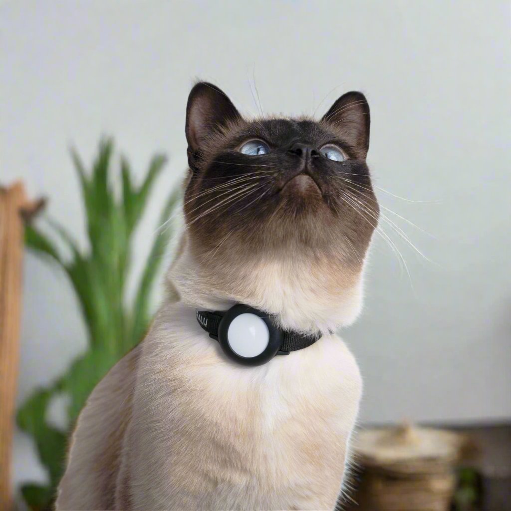 CatTrack™ | Premium Kattenhalsband voor AirTag Locatie Tracking