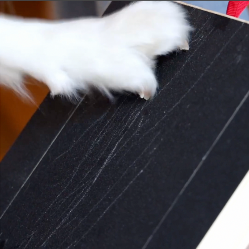 Nailscape™ | Voorkom Meubelschade en Houd Nagels Gezond
