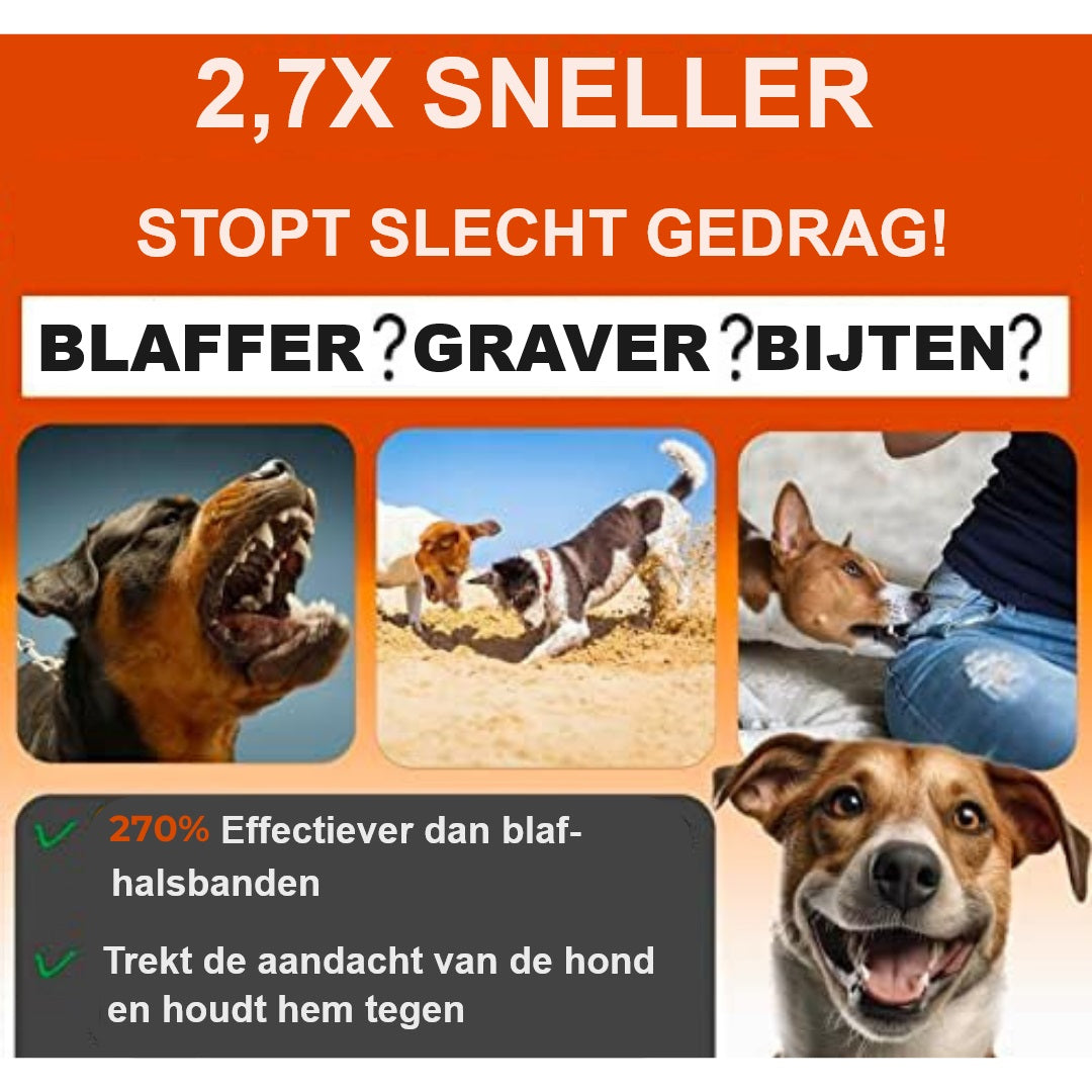 BarkBlitz™ | Met Inbegrepen zaklamp!