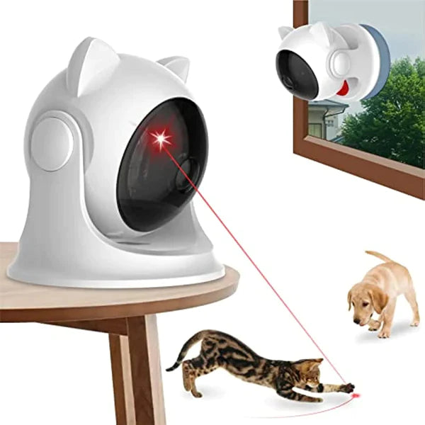 CatZoom™ | De Ultieme Speelervaring