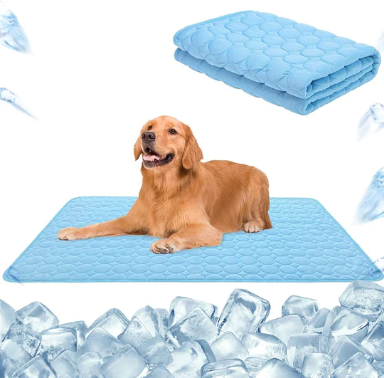 IcyWoof™ | De Beste Zomeroplossing