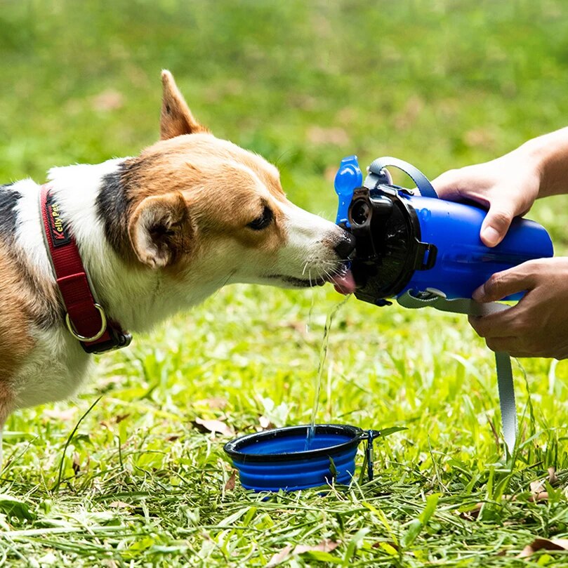 SnackPaws™ | Incl. 2 gratis Bakjes (t.w.v. €19,95)