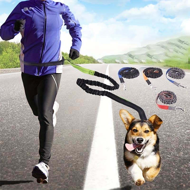 WalkWag™ | Geniet van moeiteloze wandelingen