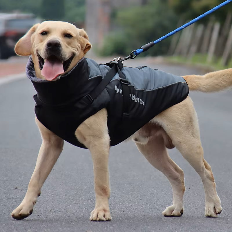 CloudTail™ | Warme Hondenjas met Reflectie