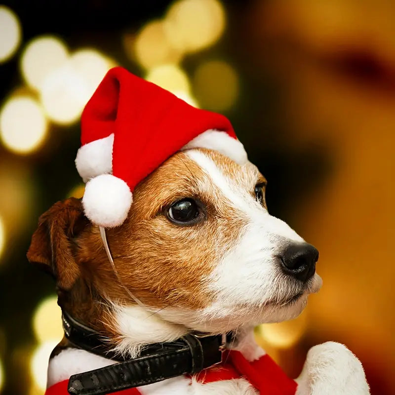 SantaPaws™ | Zachte Kerstmuts voor Warme Kerstmomenten