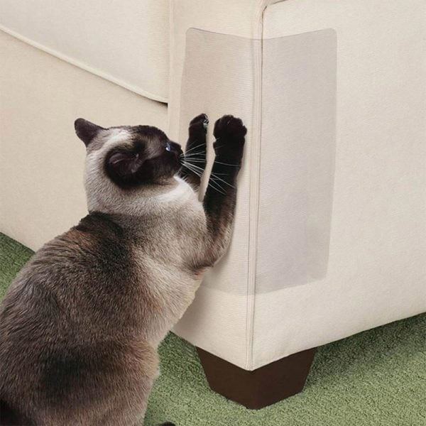 PurrCover™ | Bescherming tegen krassen en kauwen