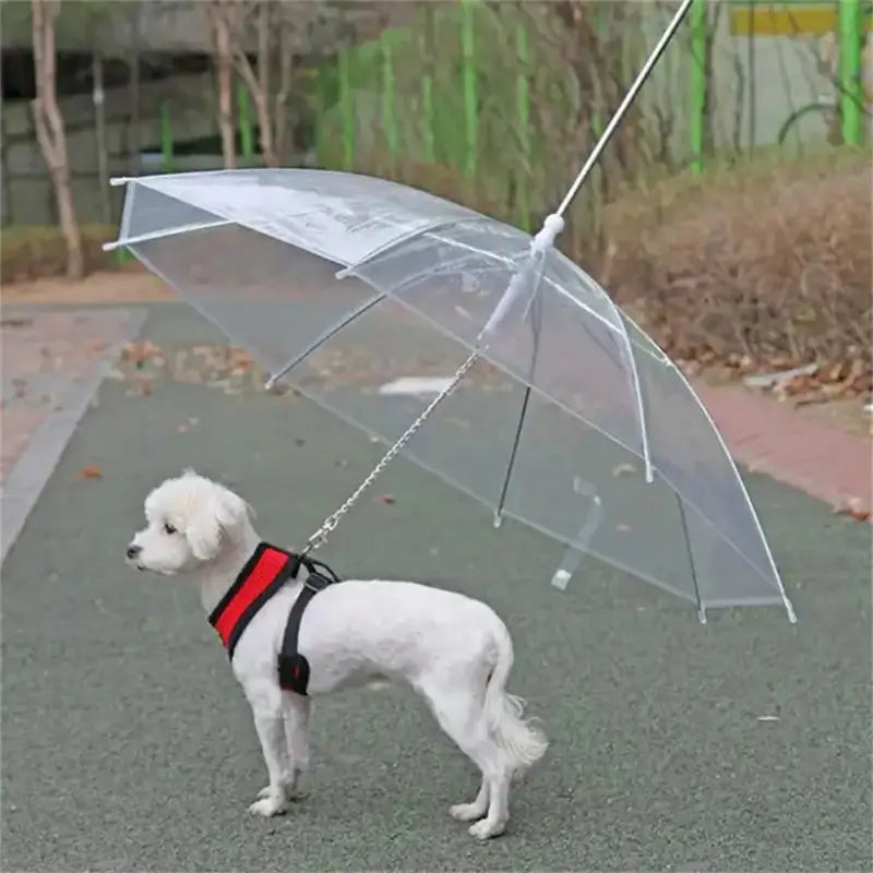 PawRain™ | Voorkom natte hond en behoud geurvrije vacht