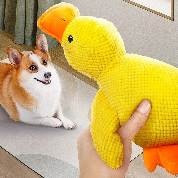 DuckyDazzle™ | Voorkom Verveling en Angst bij Alleen Thuis