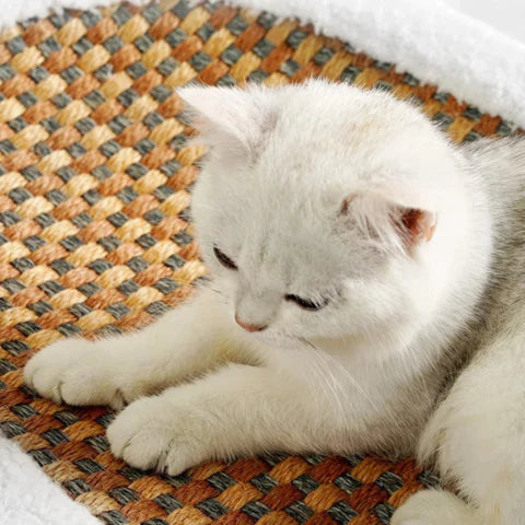 CozyCurl™ | Zeg vaarwel tegen krasschade