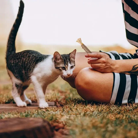 KittyBliss™ | Voor gezonde nagels zonder knippen