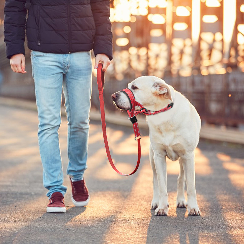 SnoutPro™ | Stop Blaffen en Bijten Zonder Stress