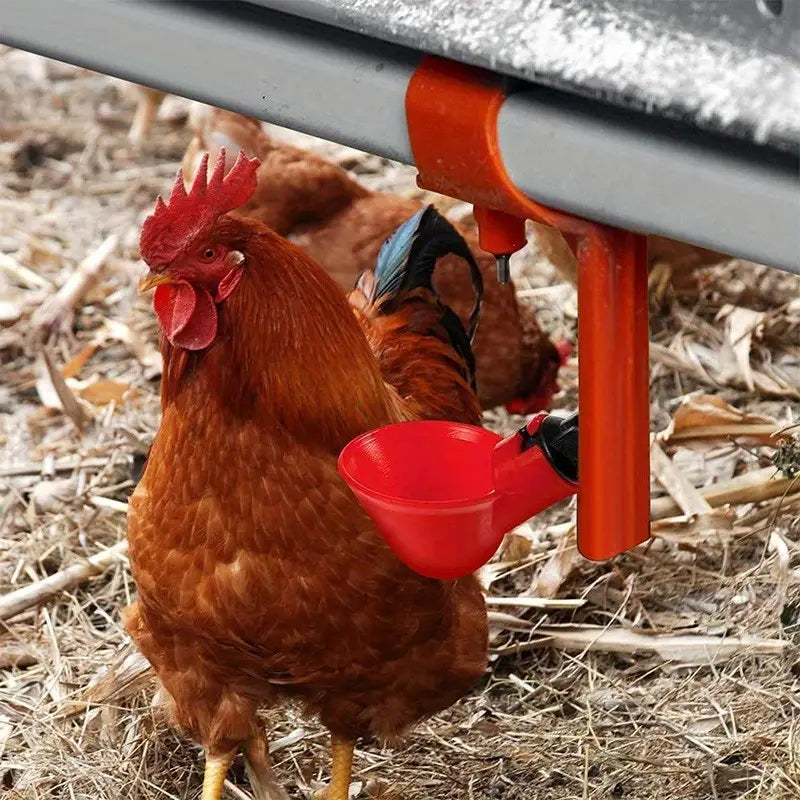 AquaHen™ | Altijd Vers Voor Je Kippen