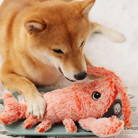 PawLobster™ | Voorkom verveling en houd je hond gelukkig