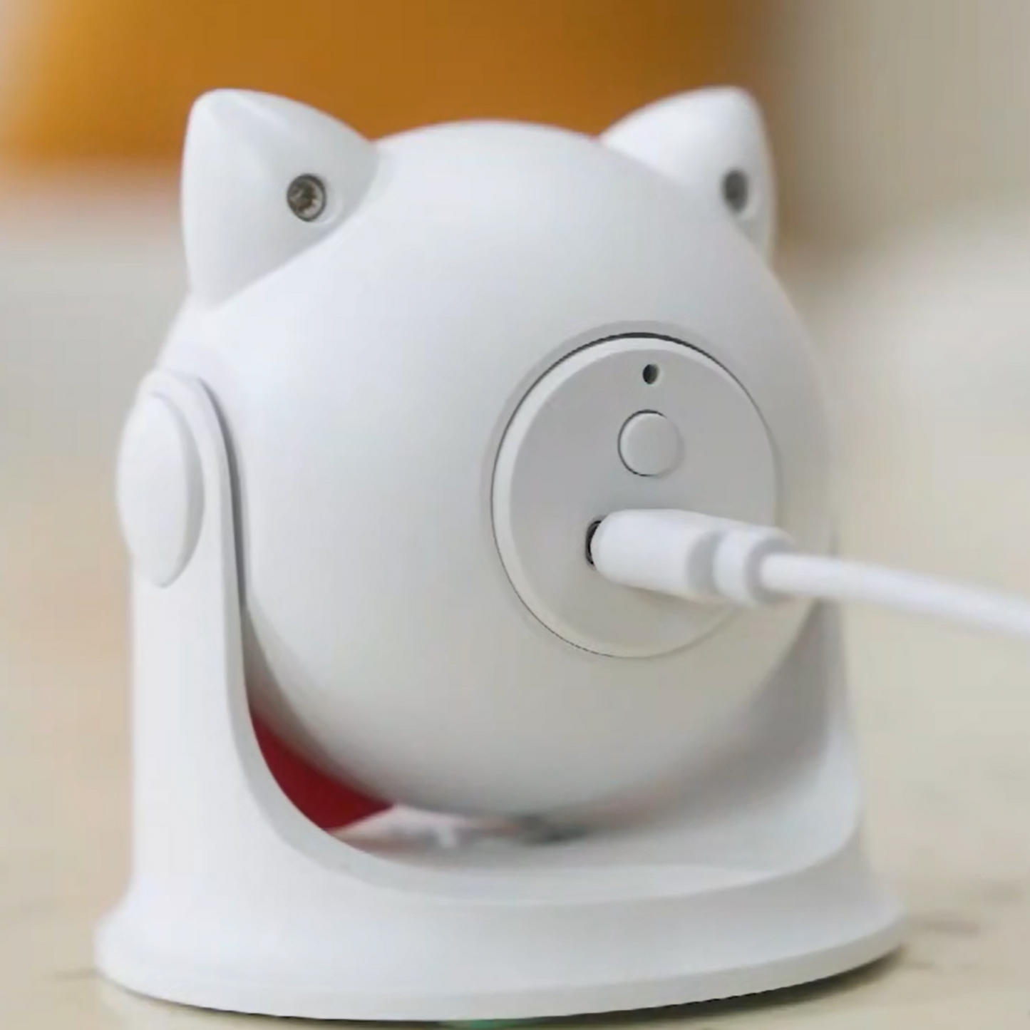 CatZoom™ | De Ultieme Speelervaring