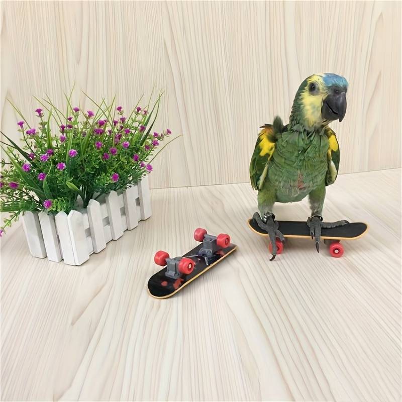 SkateBird™ | Het ultieme skateboard voor vogels