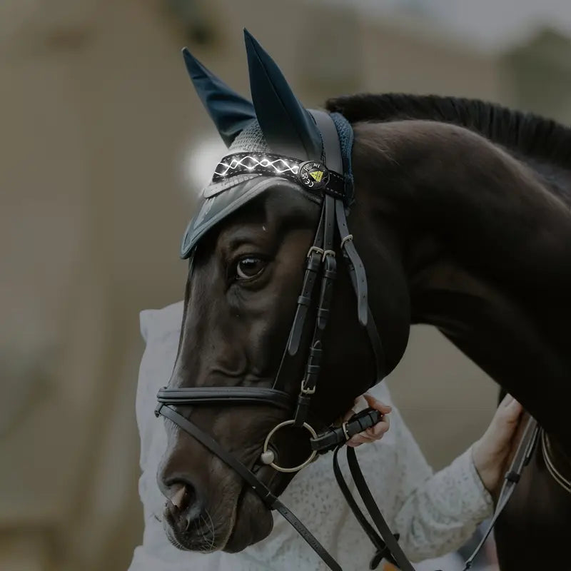 LumaRide™ | Veilige LED-verlichte hoofdriem voor paarden