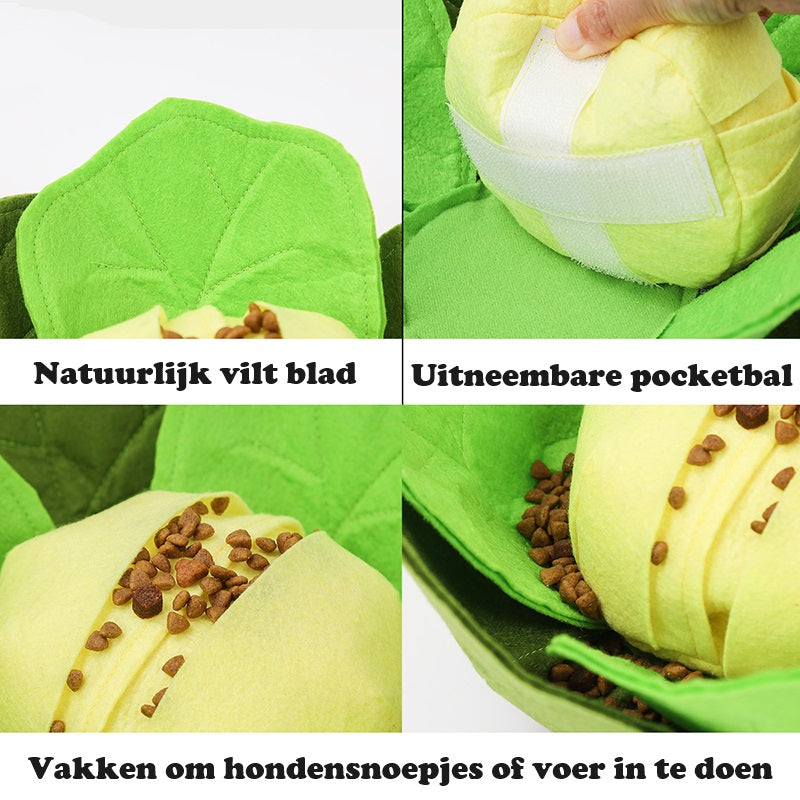 FuzzyKool™ | Perfect voor Spel en Verkenning