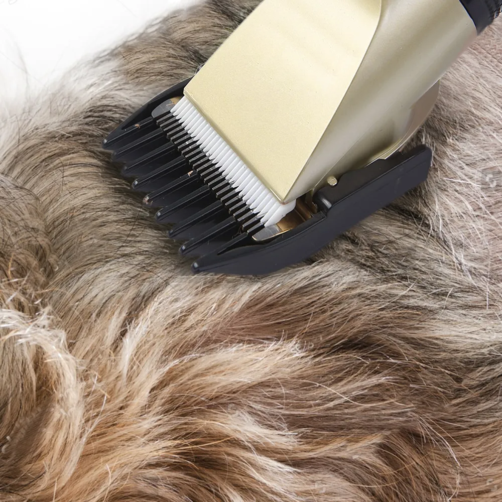 FurGlide™ | Stille Zorg voor Huisdieren