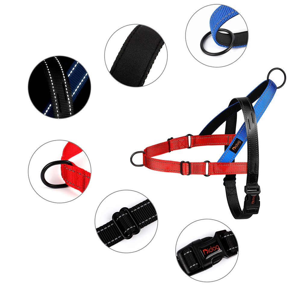 LumaPaw™ | Voor Stressvrije Wandelingen en Volledige Controle