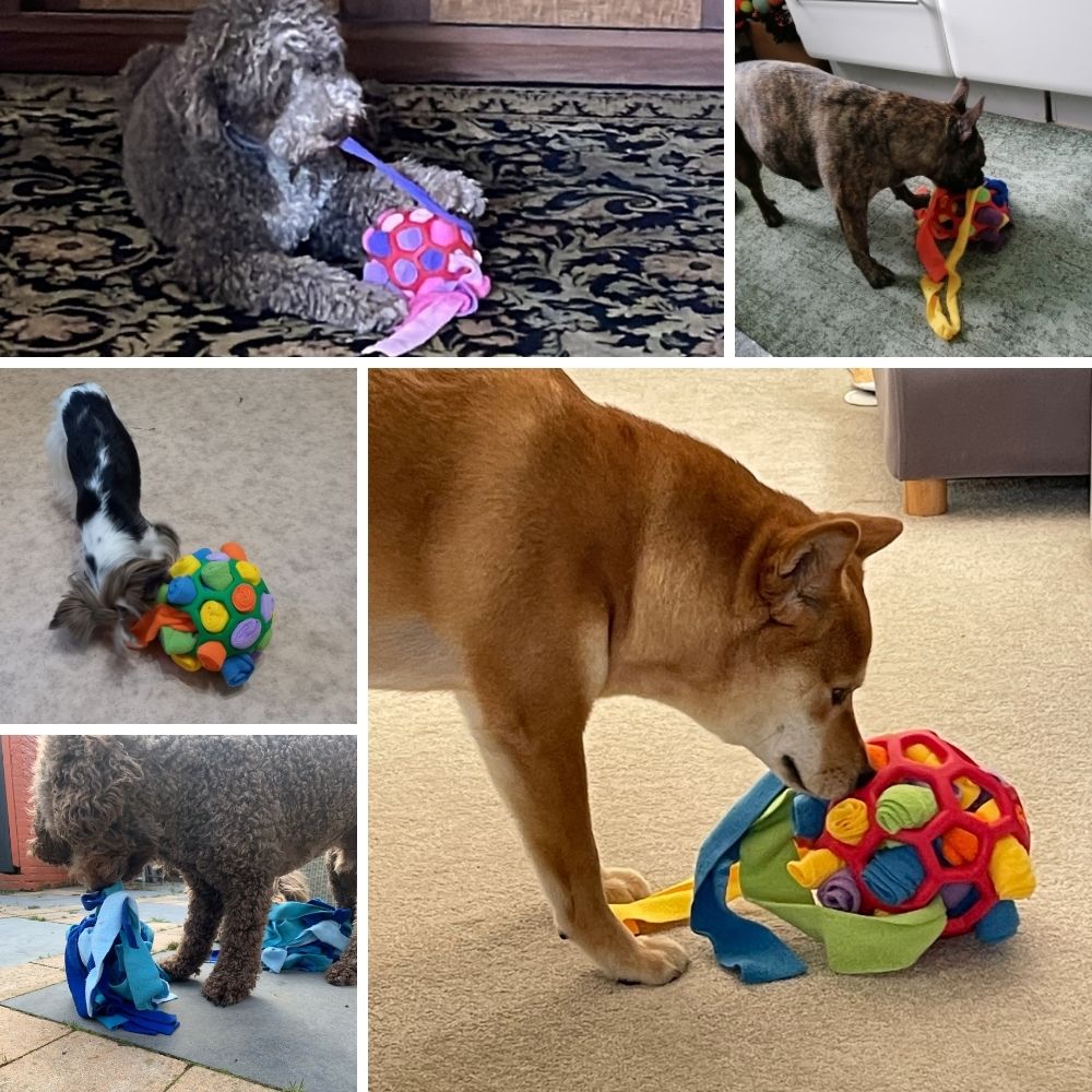 SnuffelBal™ | Interactieve Puzzelbal