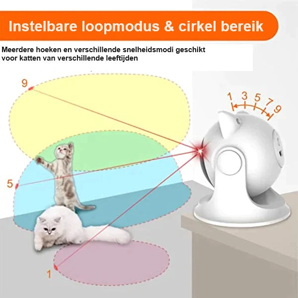 CatZoom™ | De Ultieme Speelervaring
