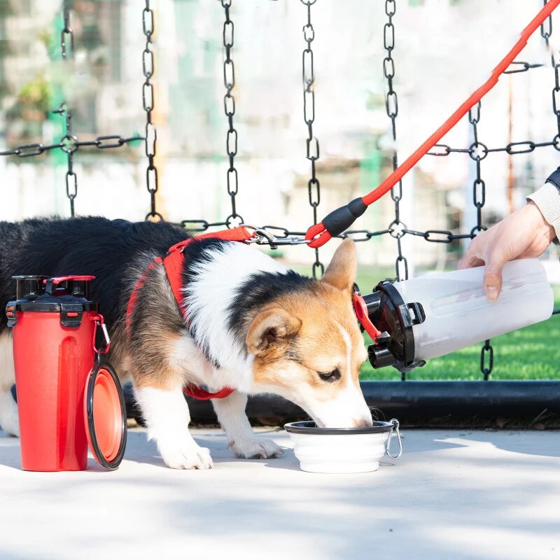 SnackPaws™ | Incl. 2 gratis Bakjes (t.w.v. €19,95)