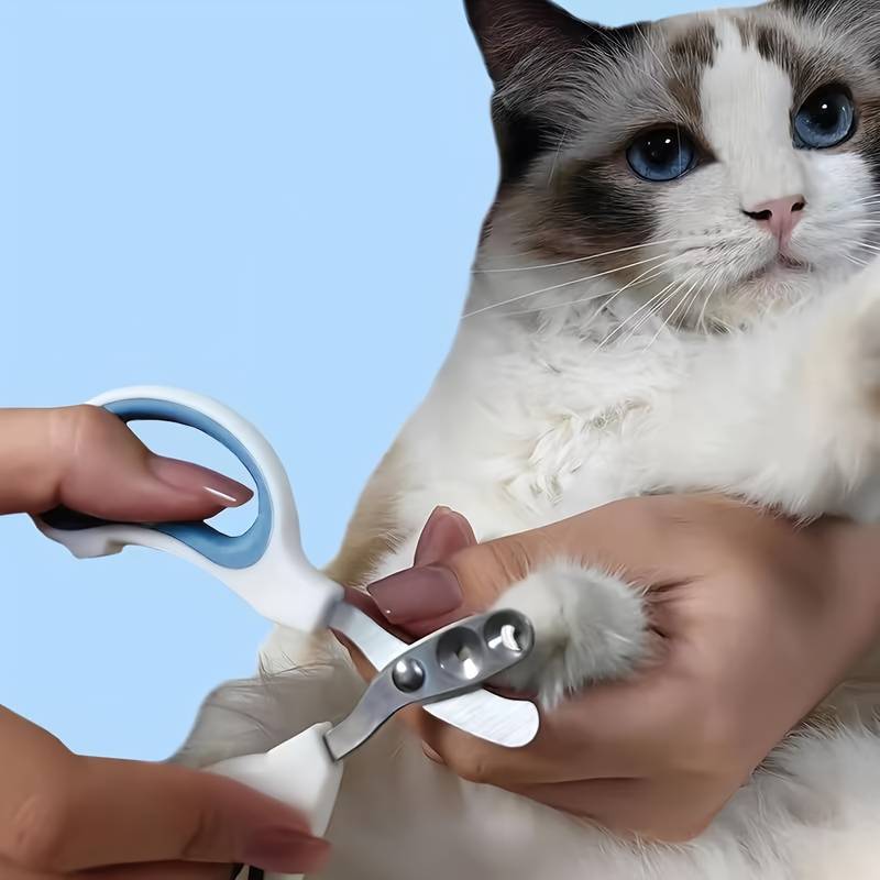 SafeClaw™ | Veilig en stressvrij knippen